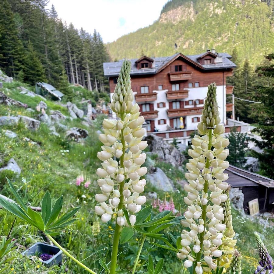 Hotel Gembro Chiesa in Valmalenco Dış mekan fotoğraf