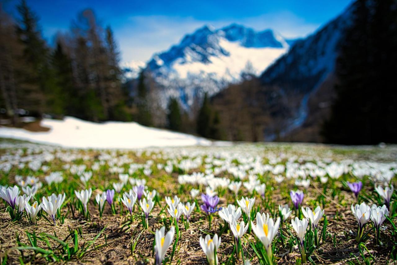 Hotel Gembro Chiesa in Valmalenco Dış mekan fotoğraf