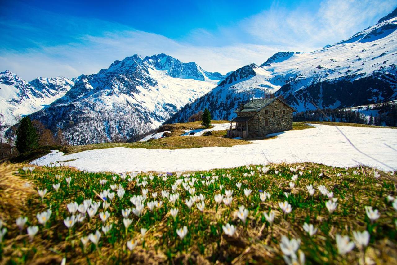 Hotel Gembro Chiesa in Valmalenco Dış mekan fotoğraf